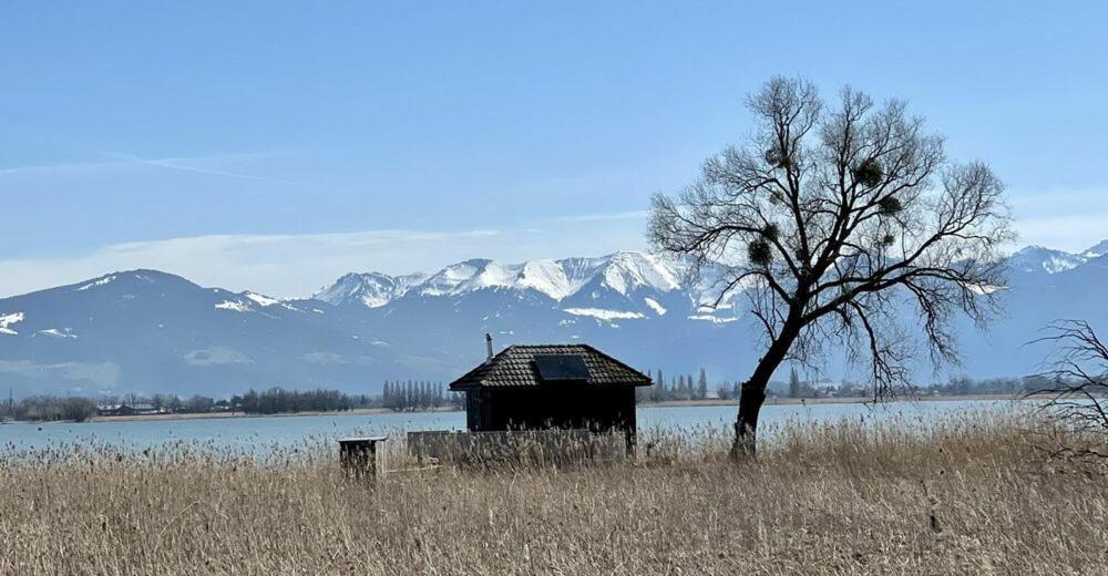 Bodensee Apartments, Sauna, Lake Walks, Free Parking, Self Checkin, Nature Reserve, Restaurants Nearby Gaissau  Eksteriør bilde