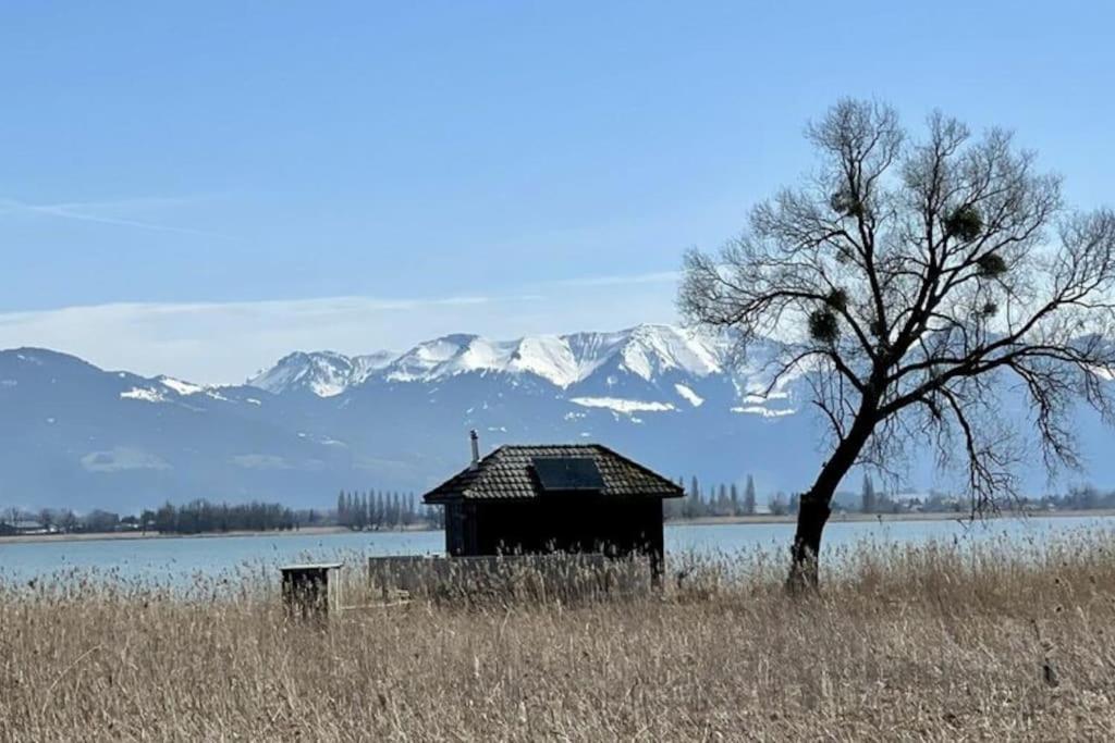 Bodensee Apartments, Sauna, Lake Walks, Free Parking, Self Checkin, Nature Reserve, Restaurants Nearby Gaissau  Eksteriør bilde