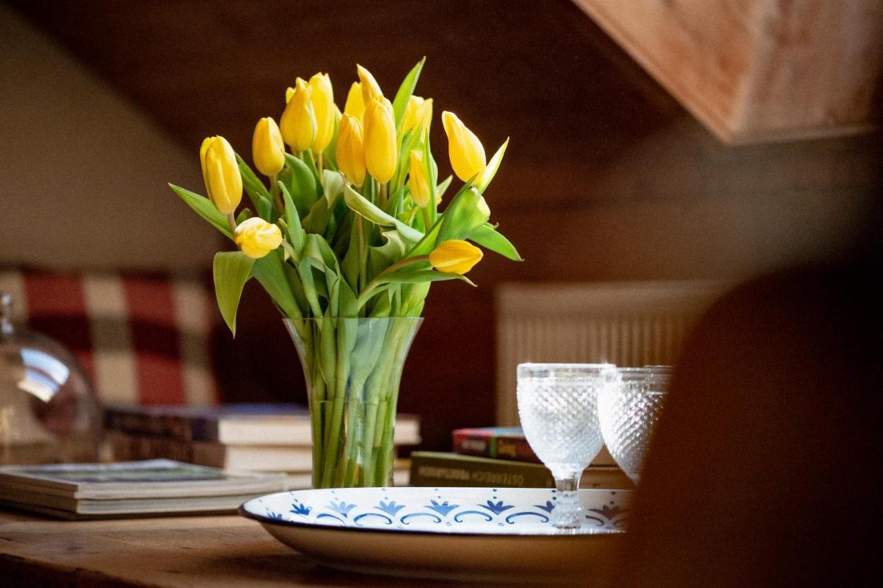 Bodensee Apartments, Sauna, Lake Walks, Free Parking, Self Checkin, Nature Reserve, Restaurants Nearby Gaissau  Eksteriør bilde