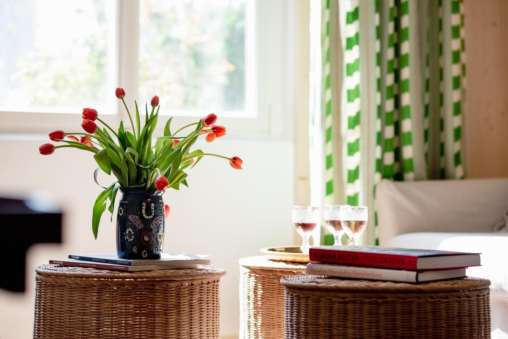 Bodensee Apartments, Sauna, Lake Walks, Free Parking, Self Checkin, Nature Reserve, Restaurants Nearby Gaissau  Eksteriør bilde